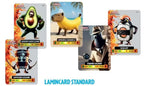 Box 24 Buste da 5 Carte LAMINCARD Italian Brainrot