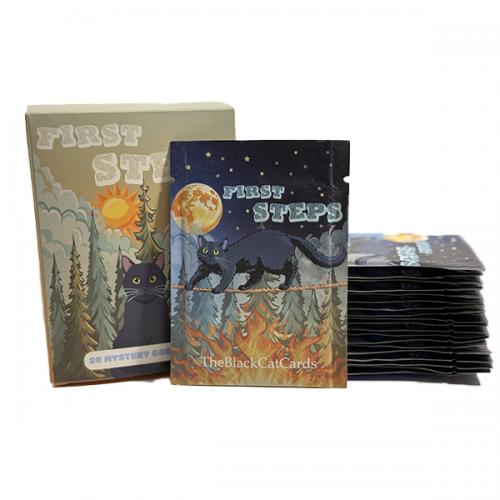 Box da 20 Buste Pokemon TCG MYSTERY BOX First Step