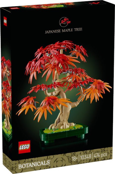 10348 Flowers Botanical Japanese Red Maple Bonsai