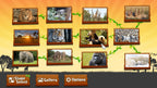 Animated Jigsaws Collection