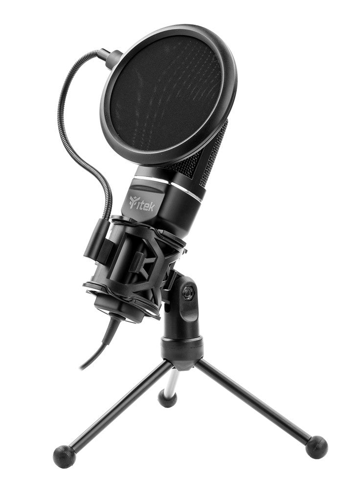 Microfono a Condensatore M100