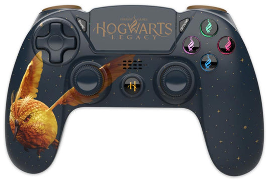 Ordina e ricevi PS4 Hogwarts Legacy